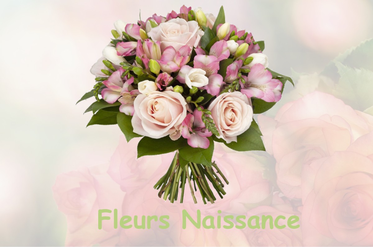 fleurs naissance FRESNEY-LE-PUCEUX